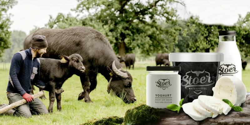olicious | de stoerderij buffel farm