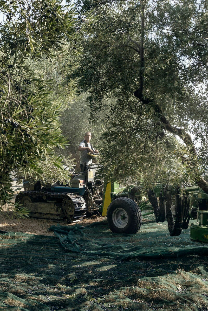 Oogstmachine Trespaldum