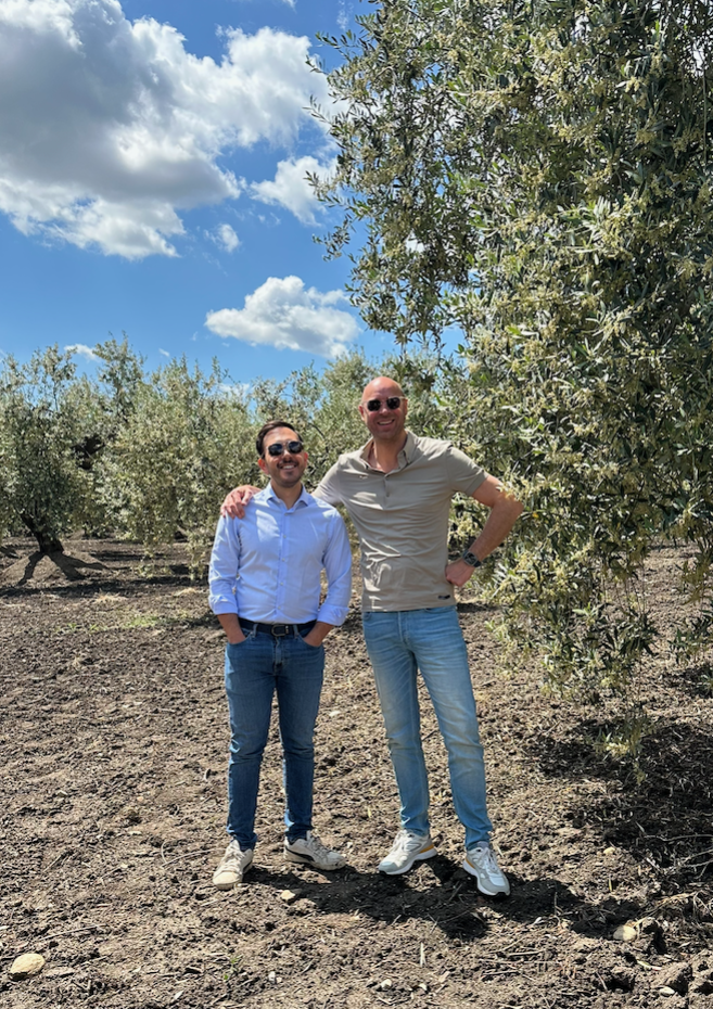 Mark Lemmens, Luigi Visconti