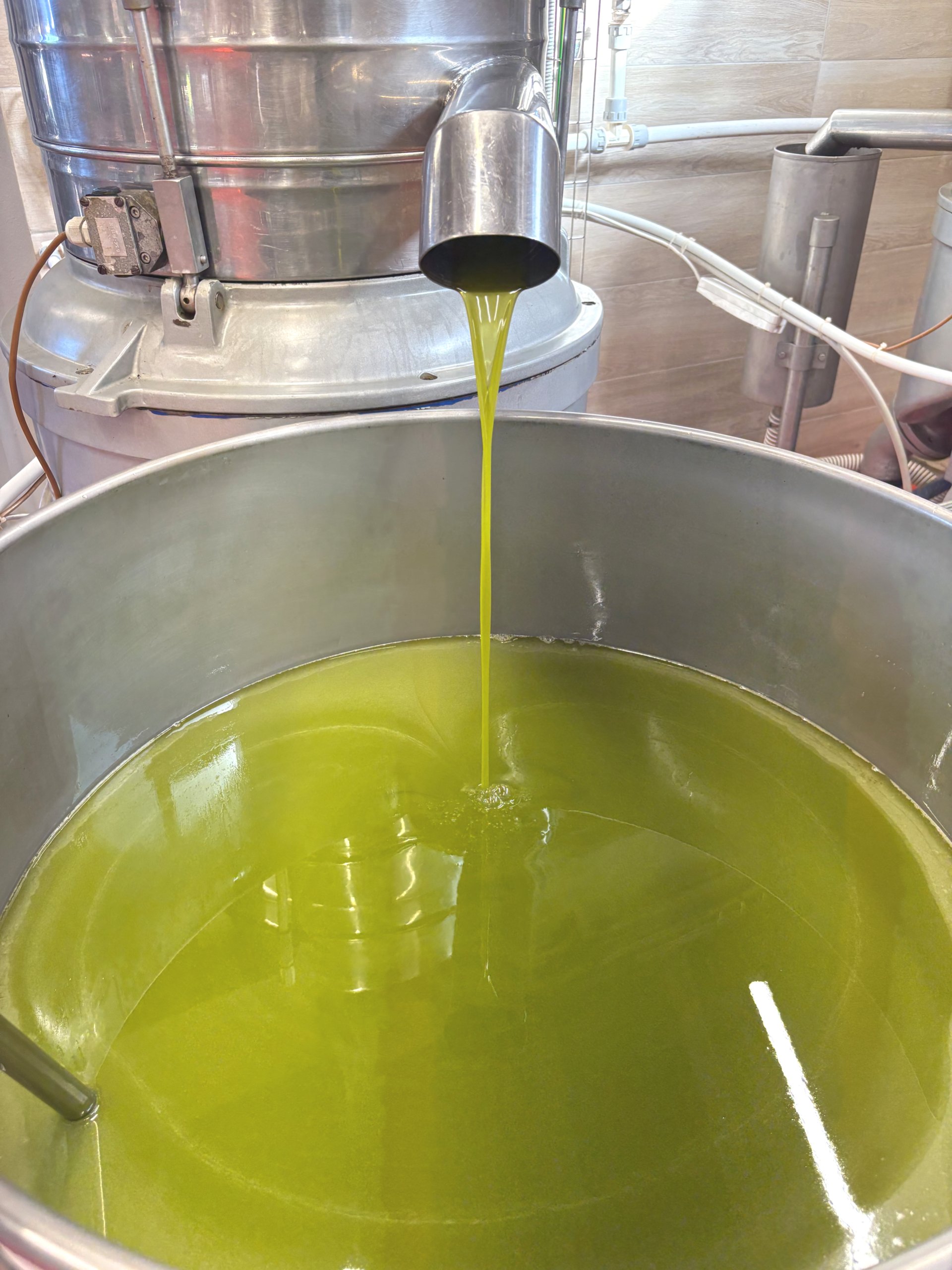 Extra vergine olijfolie loopt uit pers