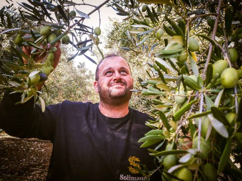 Costatino Solimando in de olijfgaard | Olicious