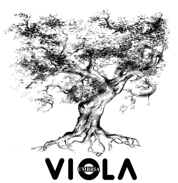 Guglielmi olijfolie | olicious