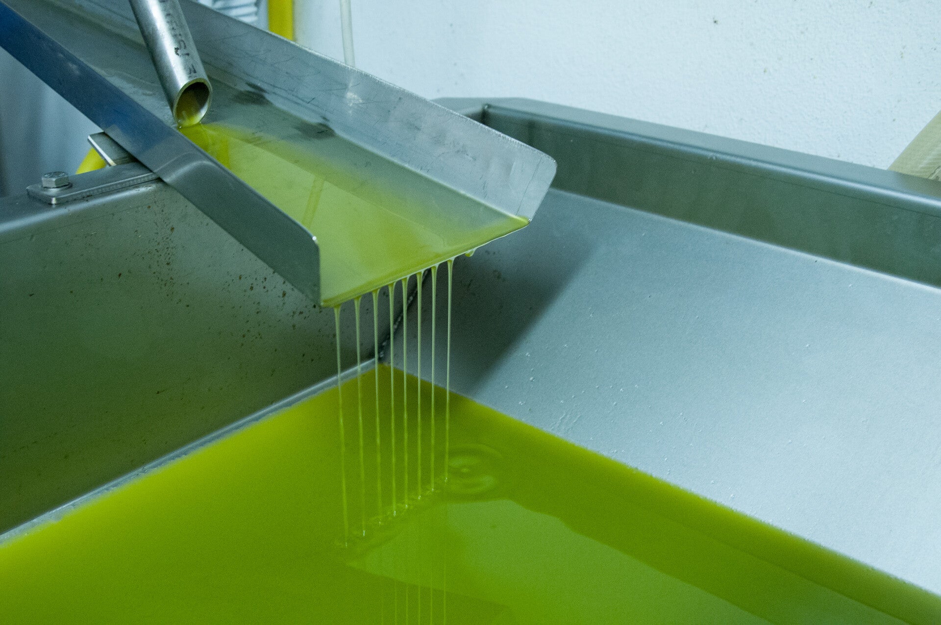 olicious | vers geperste extra vergine olijfolie