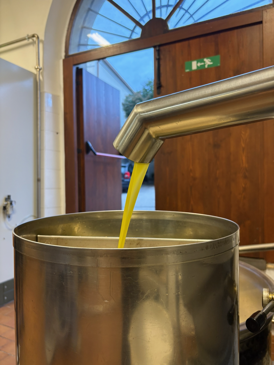 olicious | olijfolie uit pers bij Viola