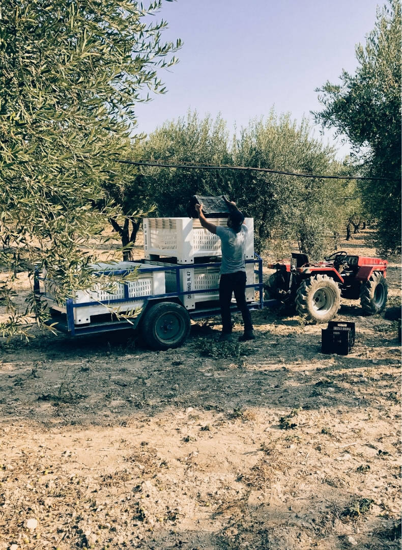 Oogstmachine Trespaldum