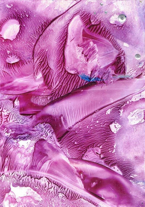 rosewizibl kl