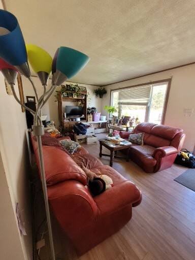 1000016918-standard-z9c2jh.jpg