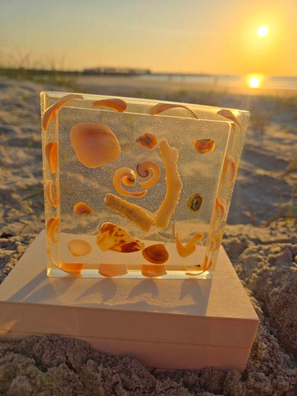 Coaster of shells (sensory)