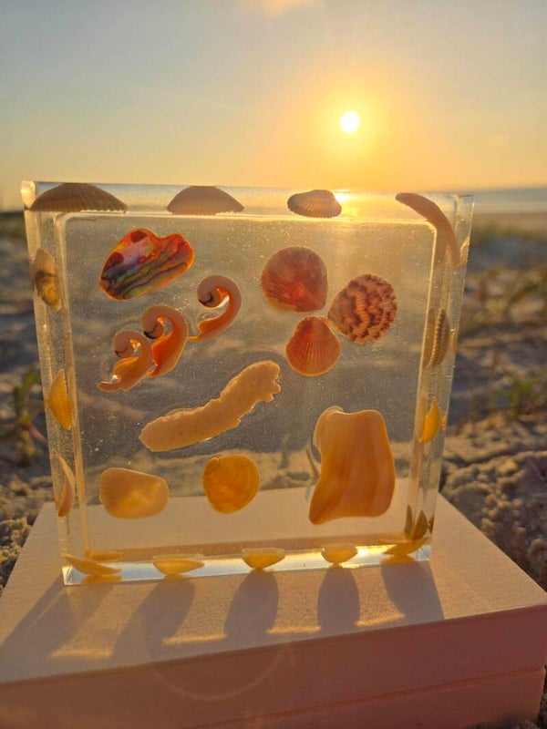 Sea shell Clear Coaster