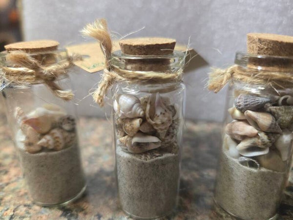 Jars of Sand and Sea Shells