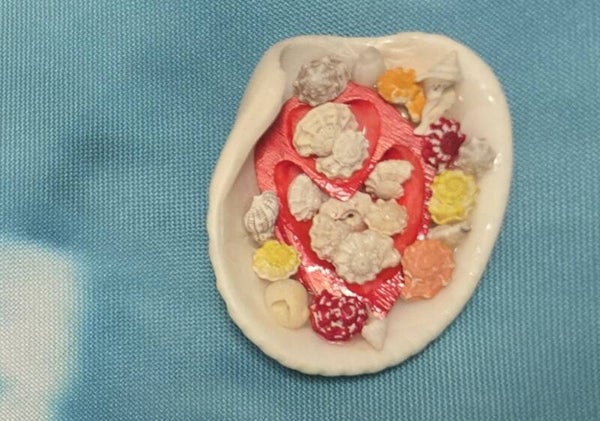 Red and White Bed of Shells