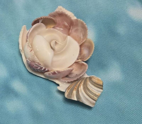 White Rose