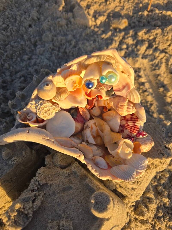 Big Bed of Shells