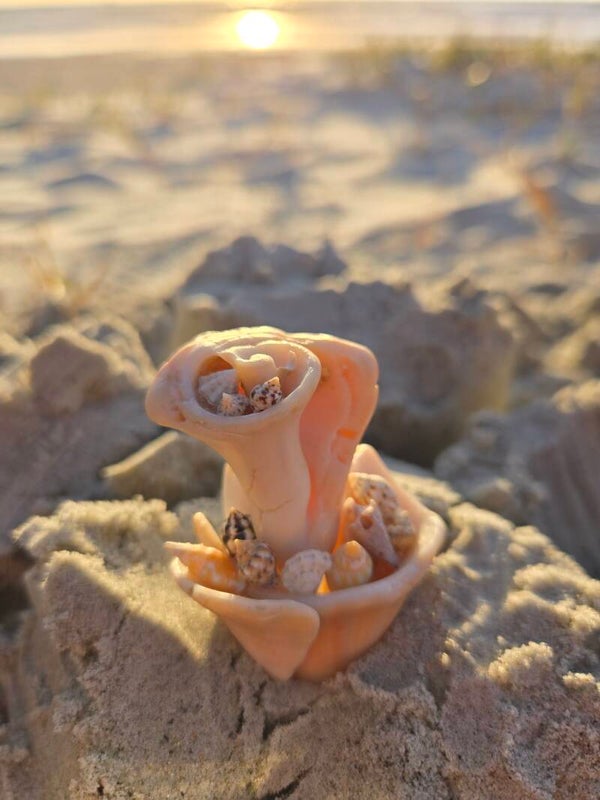 Tree of Seashells (a)