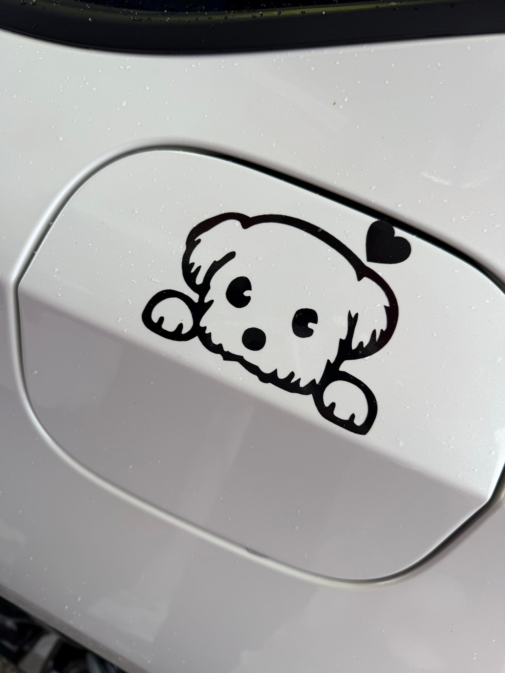 Cat Sticker for car tank