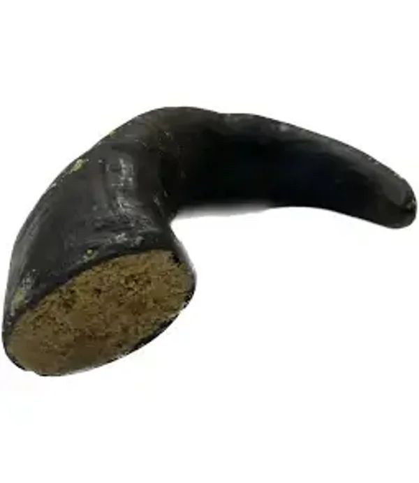 filled buffalo horn