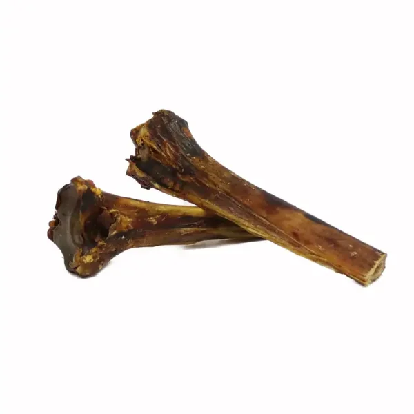 ostrich metatarsus bone
