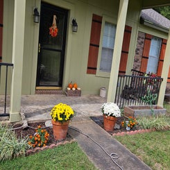 1000011320-standard.jpg