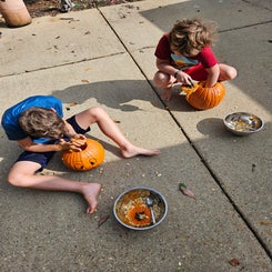 1000011458-standard.jpg