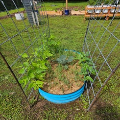 1000017821-standard.jpg