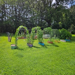 fulltrellises-standard.jpg