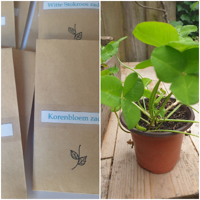 Seizoensgebonden producten:: Kruidenplantjes, Zaden