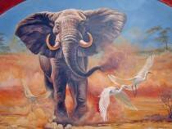 Diamond Painting Round majestueuze olifant