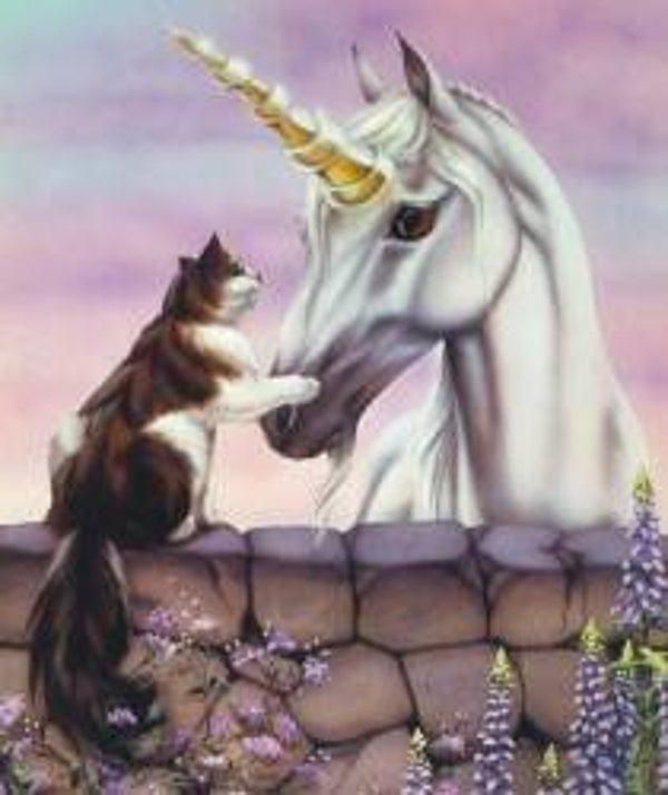 Diamond Painting Round kat en eenhoorn