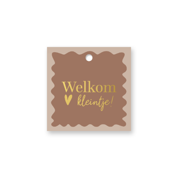 Kado kaartje 'welkom kleintje'