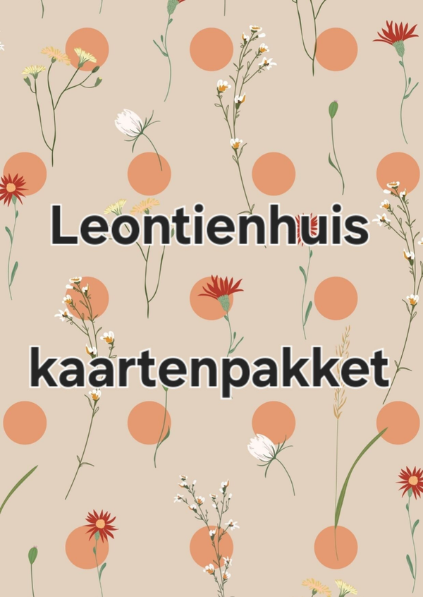 Kaartenpakket Leontienhuis 120 stuks