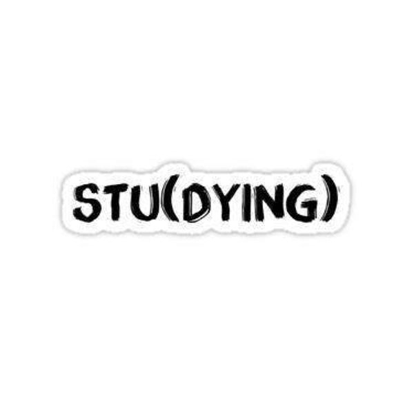 "Stu(dying)" - sticker