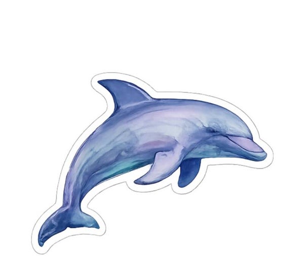 "Dolphin" - sticker