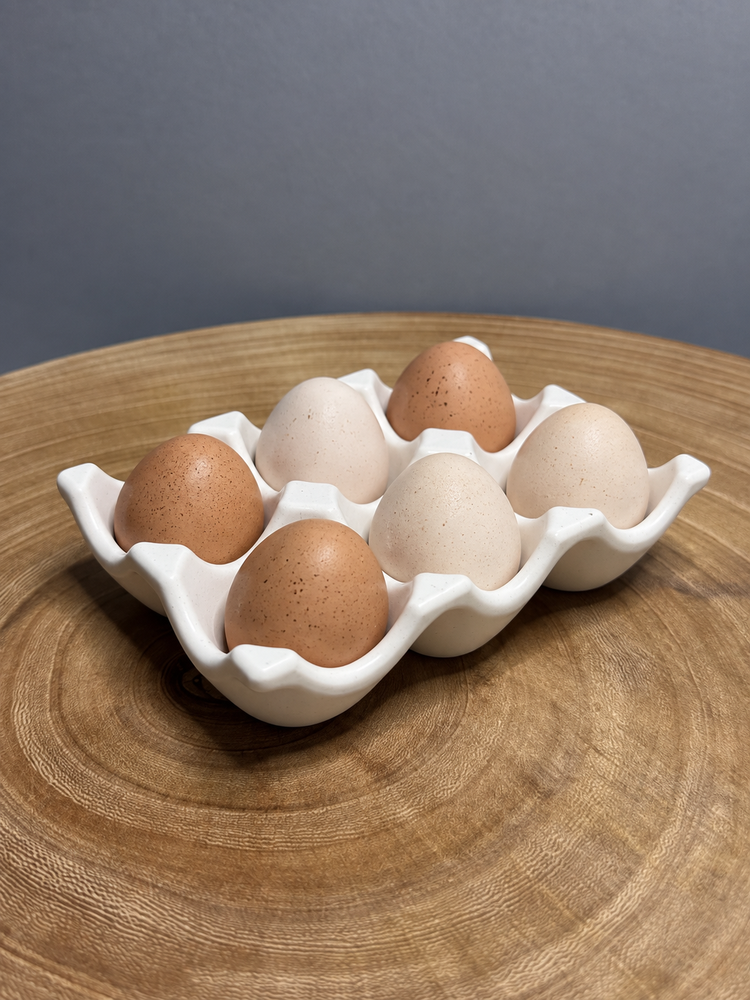 EGG TRAY (only)