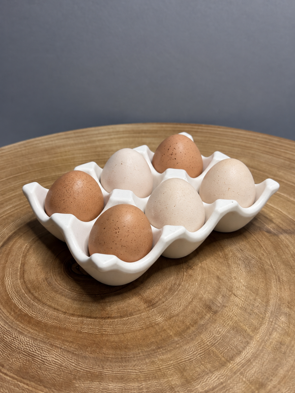 EGG TRAY (only)