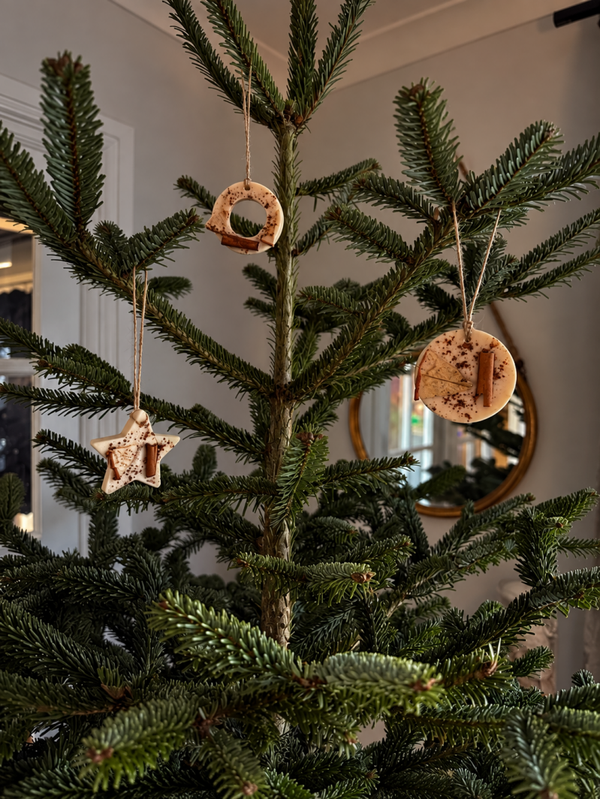 SCENTED TREE DECORATIONS / WAX MELTS - APPLE PIE