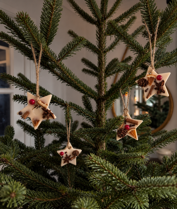 SCENTED TREE DECORATIONS / WAX MELTS - STAR