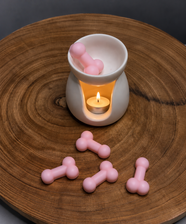NOVELITY wax melts