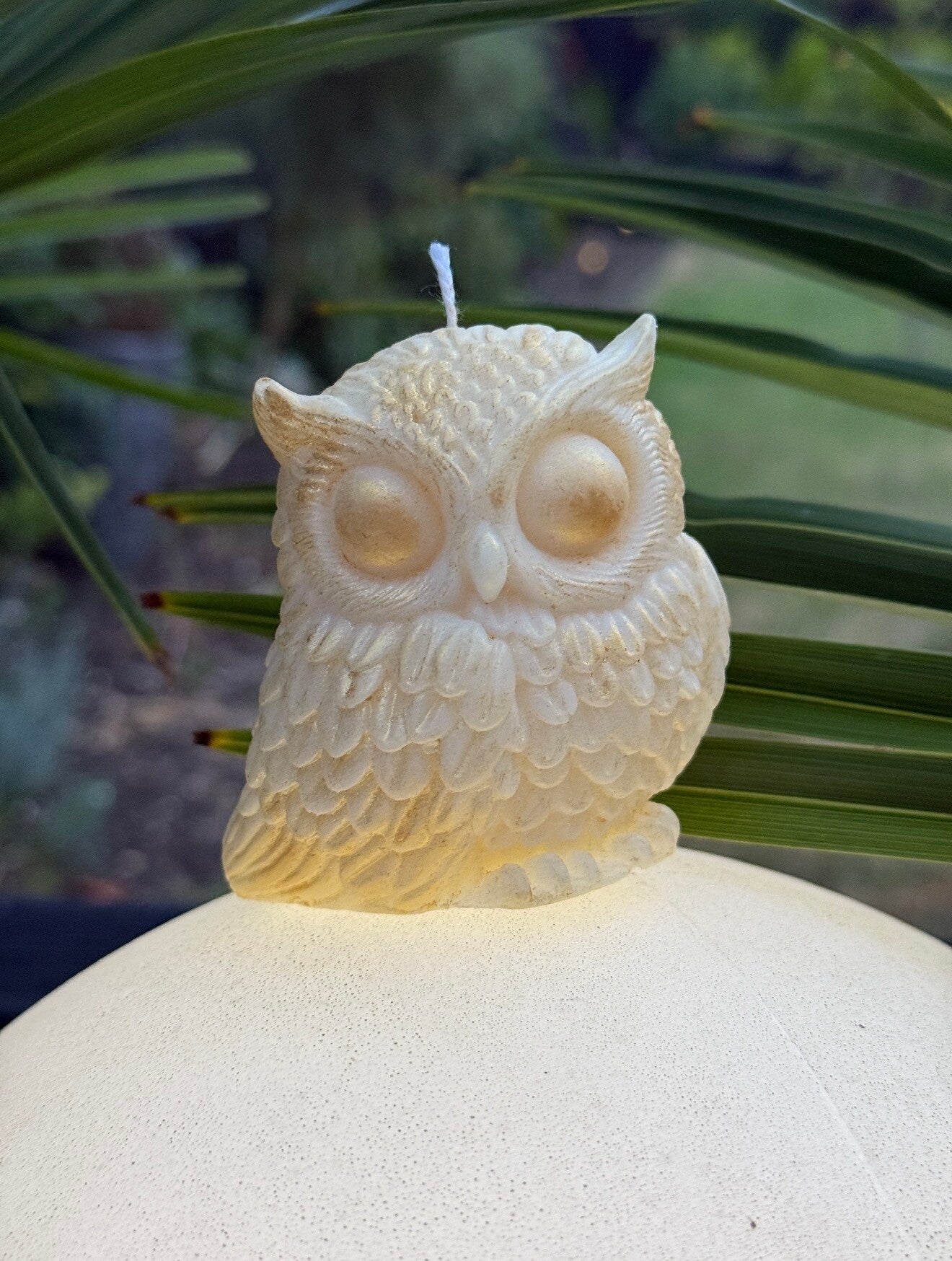 OWL candle