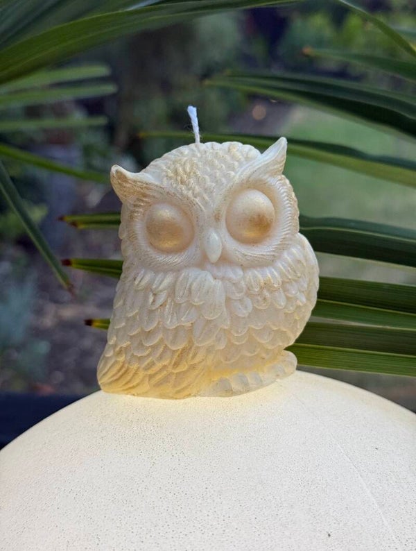 OWL candle
