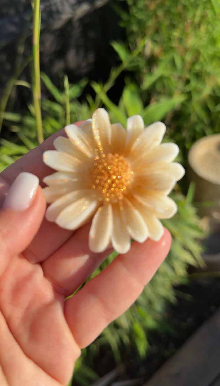 DAISY wax air freshener