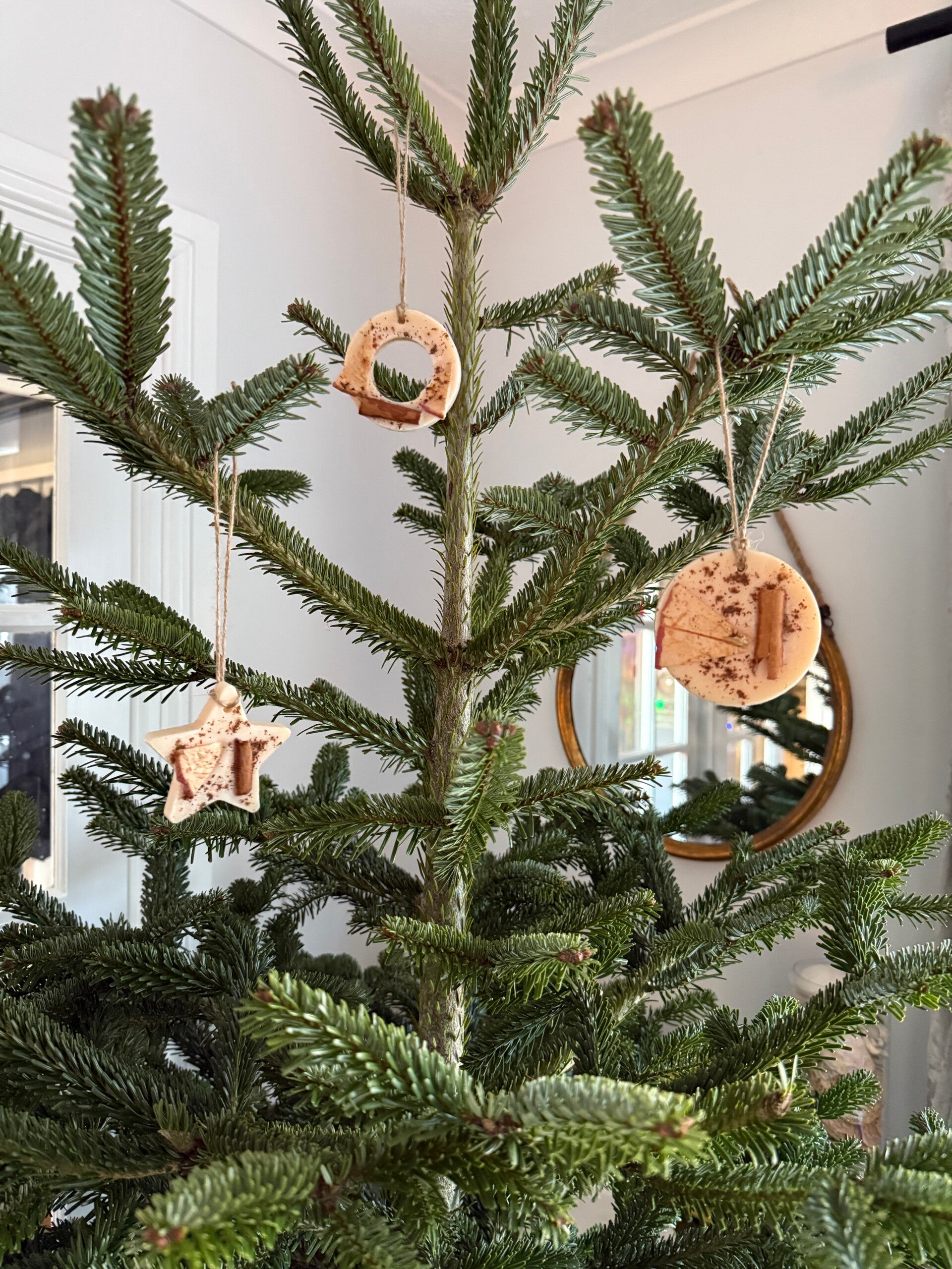 SCENTED TREE DECORATIONS / WAX MELTS - APPLE PIE