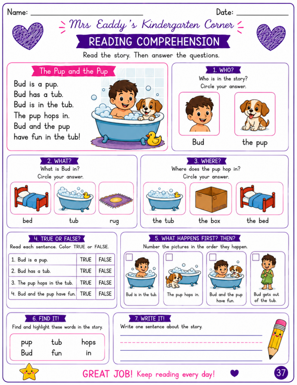 Reading Comprehension Worksheet