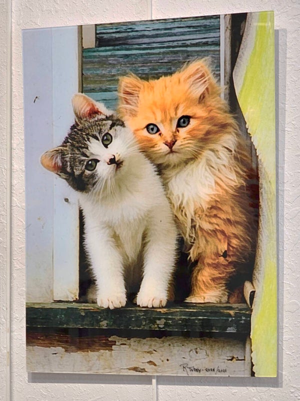 Acrylic Prints