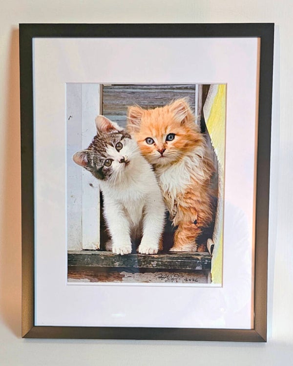 Framed Matted Prints