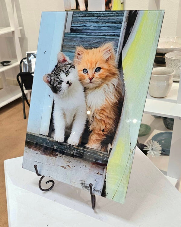 Photo Printed on Glass