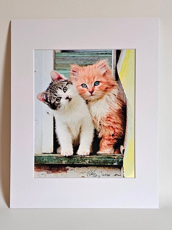 Matted Prints