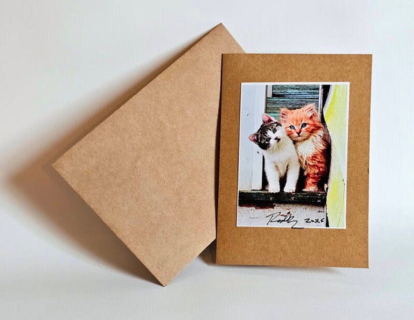 Note Cards