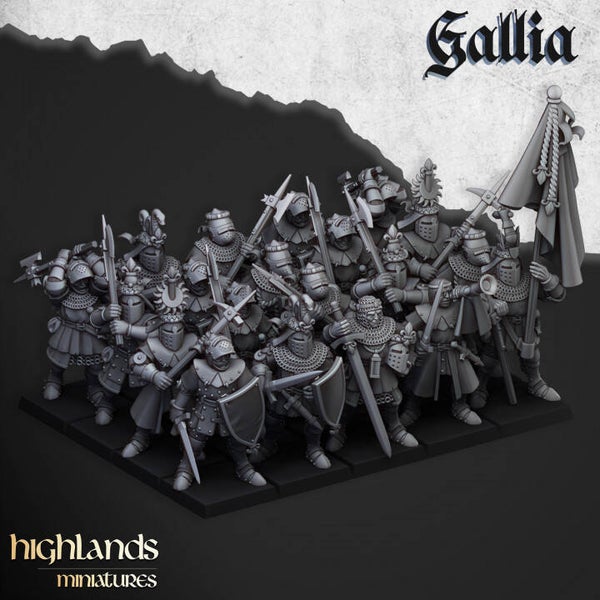 Knights of Gallia on Foot x20