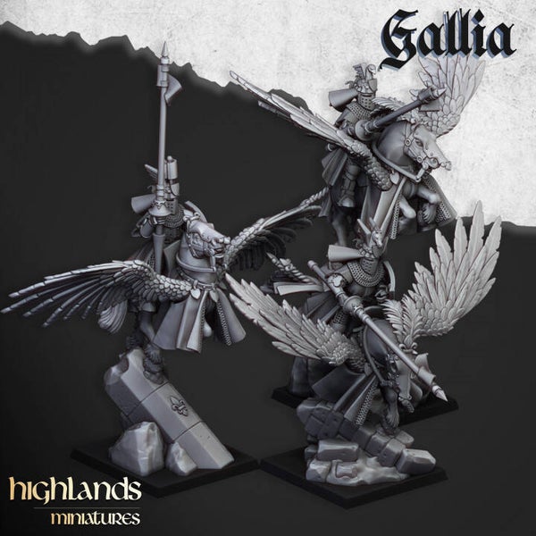 Gallia Knights on Pegasus x3