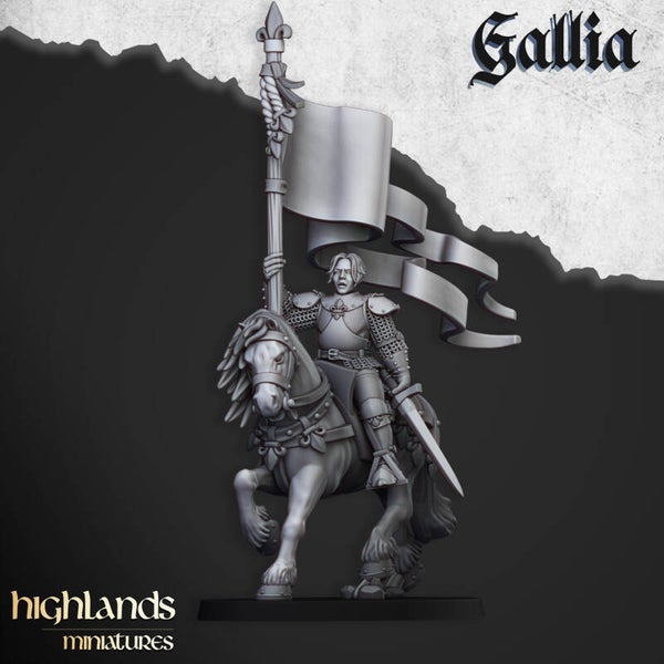 Baroness of Gallia x2 (horse and foot)
